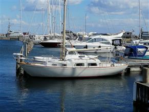 Great Dane 28  -  SOLGT/SOLD