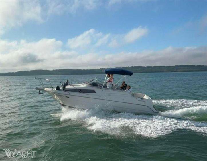 Bayliner 2655 Ciera - PHOTO 2025 02 18 18 19 26