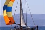 HALLBERG RASSY 33 MISTRAL