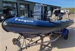 Ribcraft 480