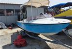CHRIS CRAFT ALBA 17