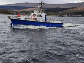 Mitchell Marine 31 MKII