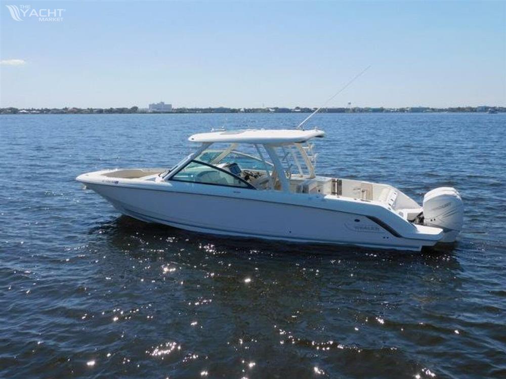 Boston Whaler