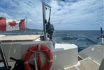 Fountaine Pajot Salina 48 Evolution Maestro