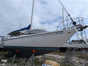 Morgan 41