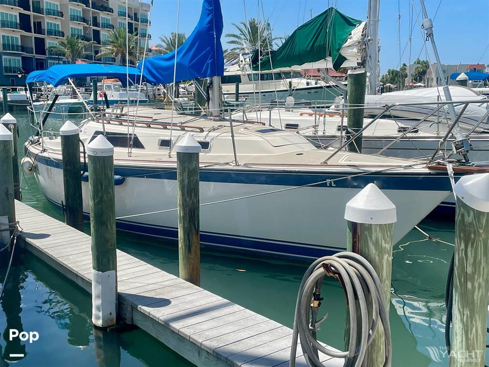 O&#39;day 28 - 1983 O&#39;day 28 - Photo #1