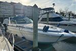 Sea Ray 350 EC - 1991 Sea Ray 350 EC - Photo #2