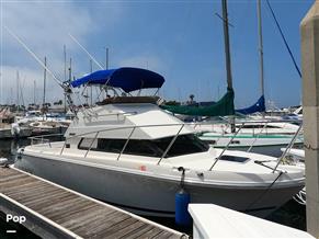 Skipjack Flybridge 262