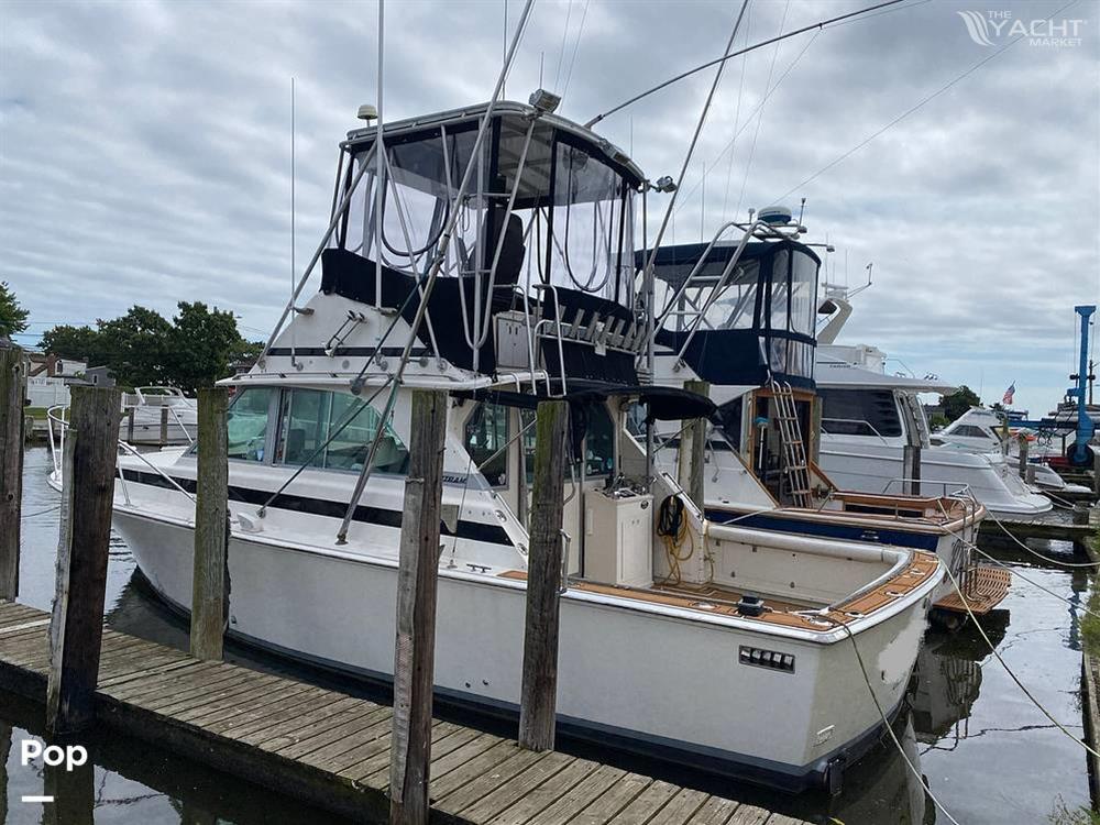 Bertram 35 Sportfish - 1978 Bertram 35 Sportfish - Photo #1