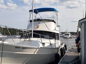 Mainship 34