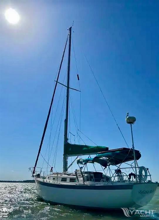 Hinterhoeller Niagra 35 - 1979 Hinterhoeller Niagra 35 - Photo #1