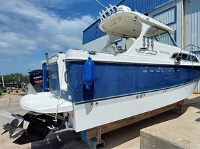 Bayliner 246 Discovery