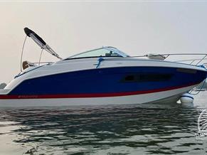 Four Winns Vista 255