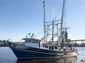Commercial Shrimp 82 IQF
