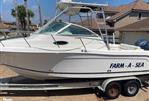 Robalo 265WA - 2004 Robalo 265WA - Photo #3