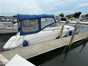 Sea Ray 260 Sundancer