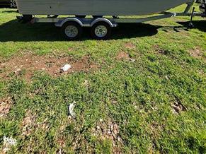 Bayliner F21 Element