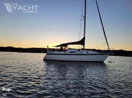 Hunter 31 - 1983 Hunter 31 - Photo #1