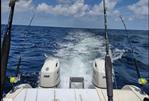 World Cat 266 SF - Engines