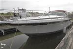 Wellcraft Portofino 4300 - 1988 Wellcraft Portofino 4300