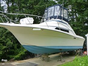 Sea Fox 29