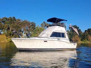 Trojan F32 Sedan Bridge