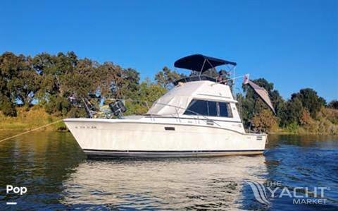 Trojan F32 Sedan Bridge - 1979 Trojan F32 Sedan Bridge - Photo #1