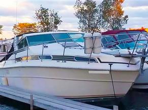 Sea Ray SRV 360 Express Cruiser