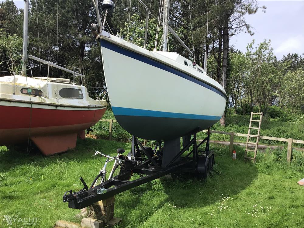 Westerly Cirrus - 17