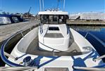 SARGO 33