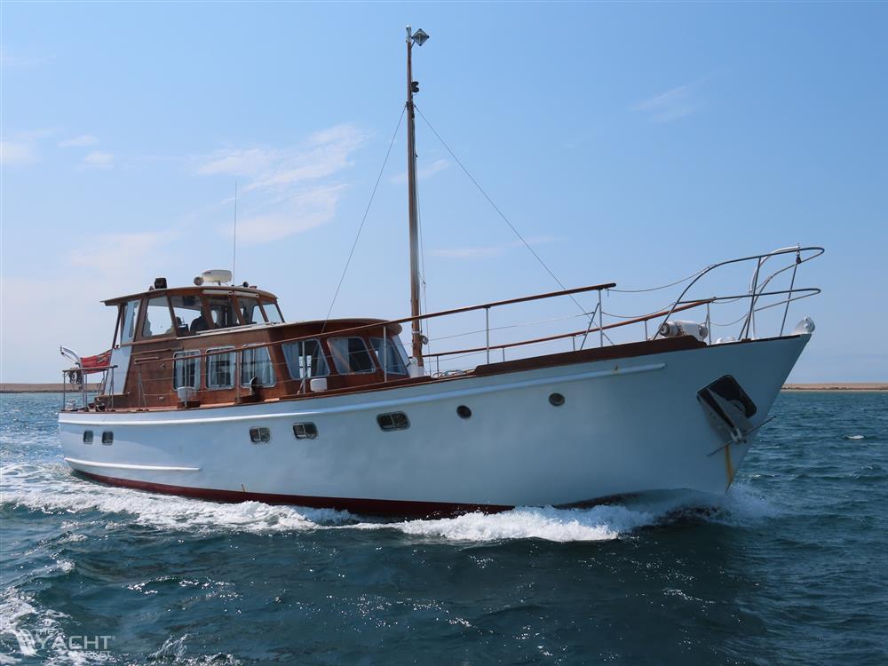 Fleur De Lys 50 - IMG 1427