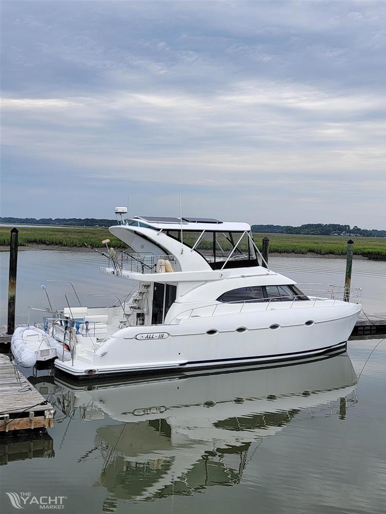 Lion Robertson &amp; Caine Lion 46