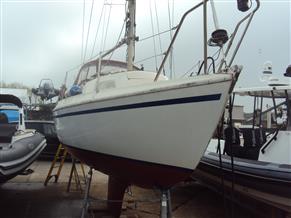 Marcon Yachts Tomahawk 25