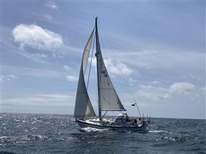 Malö 40 Classic