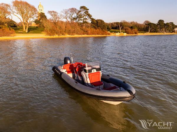 Ribeye A811 - 25% Share