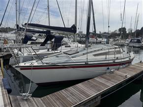 Colvic Salty Dog 27