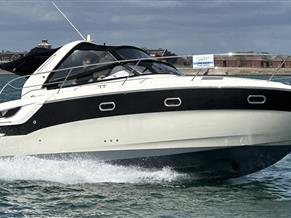 Bavaria Sport 31