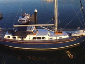 Fortuna 46