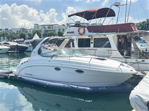 Chaparral 250 Signature