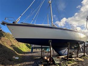 Westerly Ocean 49