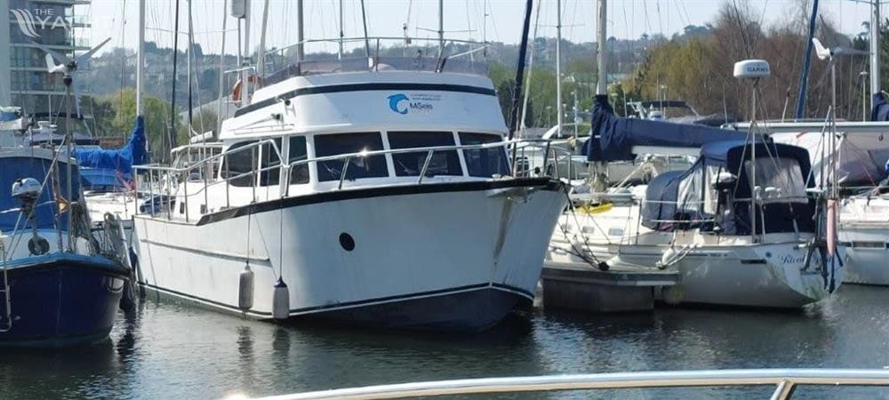 Patagonia Latitude 44 - 20250404 134805