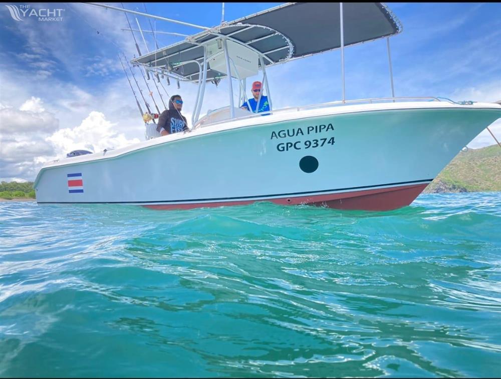 Sea Hunt 22