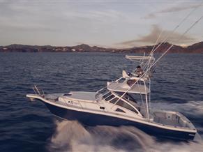 Apex Yachts Quepos 350
