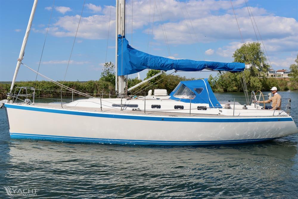 Wauquiez Centurion 37