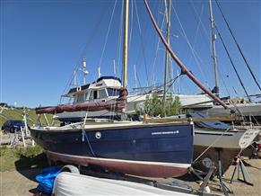 Cornish Crabbers Shrimper 19