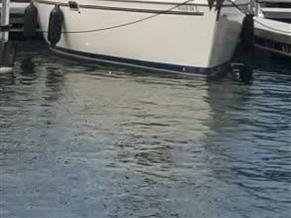 Catalina 320