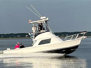 Bertram Flybridge Cruiser