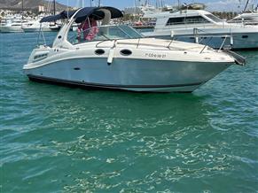 Sea ray 260 DA