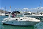 Sea ray 260 DA
