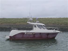 Arvor  250 AS